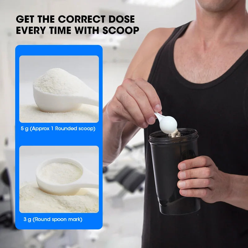 Minch Creatine Monohydrate Sports Supplements Increases Muscle Mass Boosts Exercise Performance Helps Alleviate Fatigue