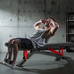 Adjustable Weight Bench Foldable Workout Bench for Home Gym Heavy Duty 1300lb Capacity PRO Full Body Strength Training with 8Le