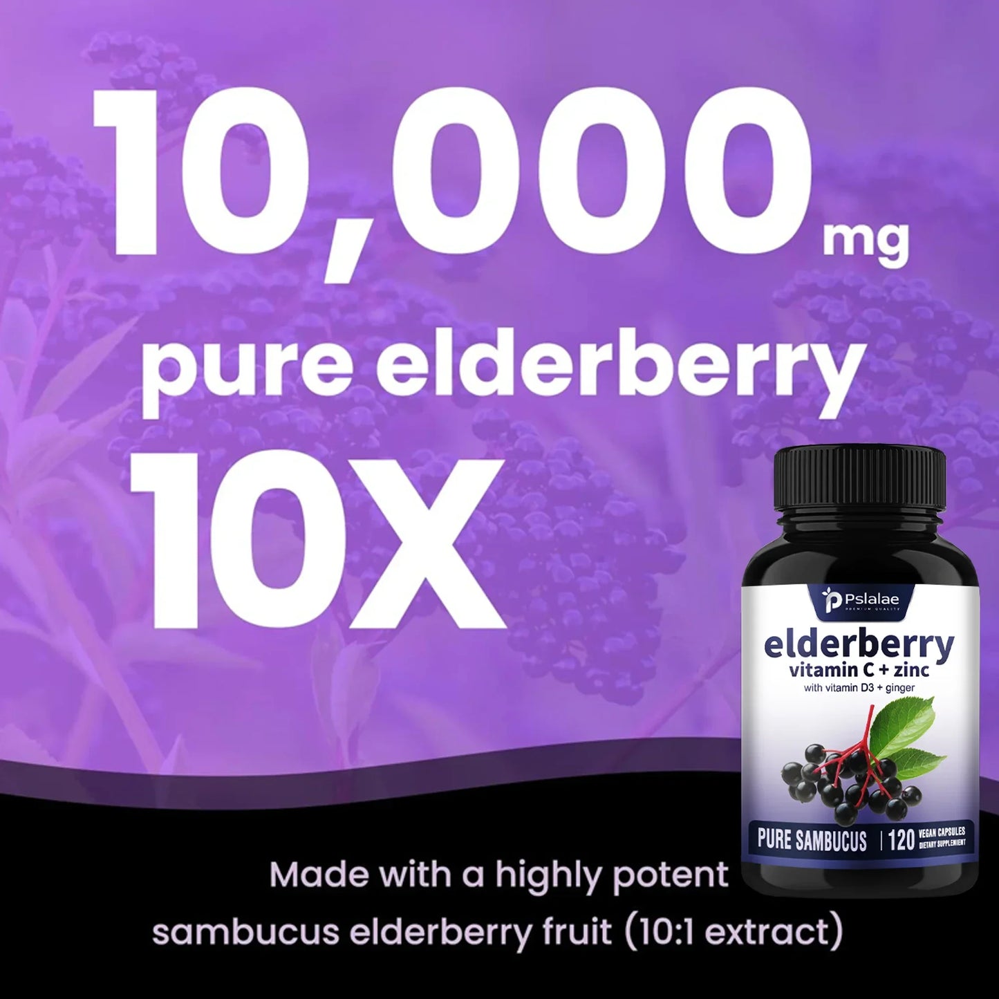 Elderberry, Vitamin C + Zinc - Supports The Immune System, Antioxidant Properties, Promotes Energy Production - 120 Capsules