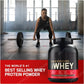 899g Whey Powders High-Efficiency Protein Supports Daily Protein Intake
